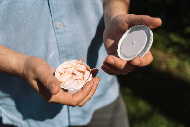 Na België werkt ook Frankrijk aan verbod op 'snus'