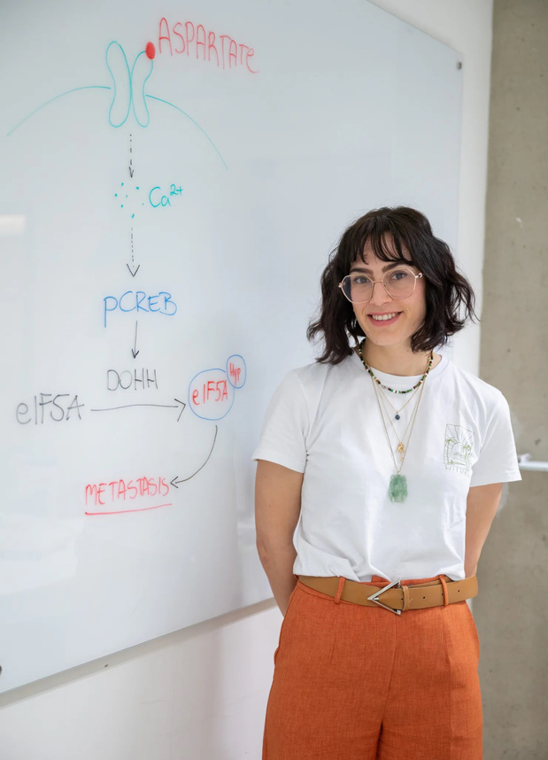 De rol van aspartaat bij longmetastasen