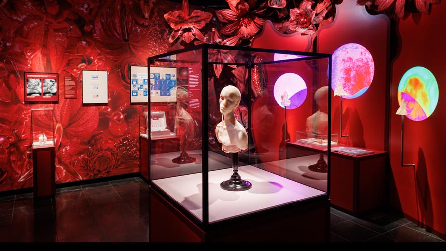 Ongezien: blinde vlekken in de geneeskunde