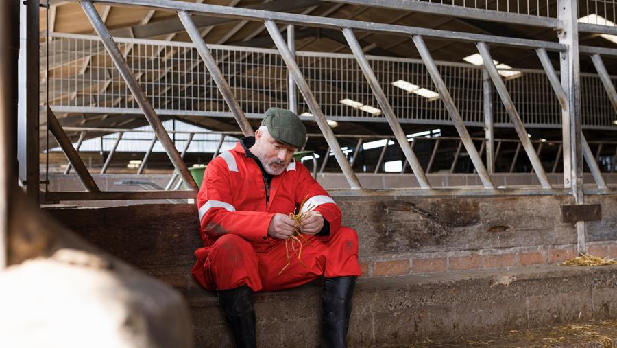 La Wallonie crée un baromètre de la santé mentale agricole