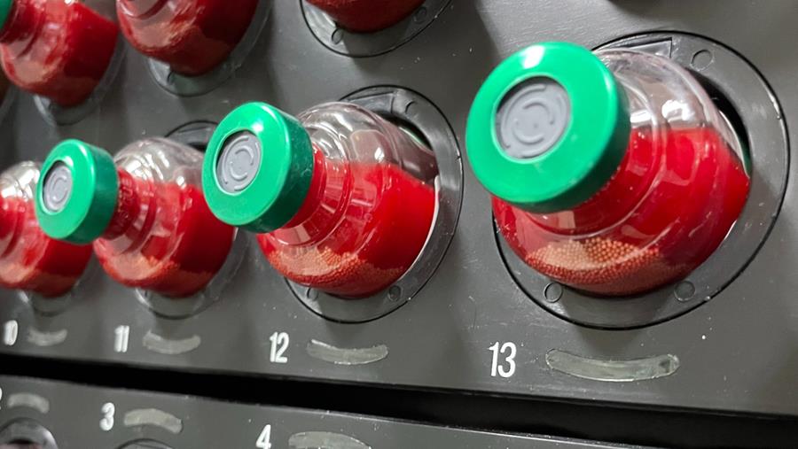 Endocardite infectieuse et timing de l’antibiothérapie: peut-on attendre le résultat des hémocultures ?