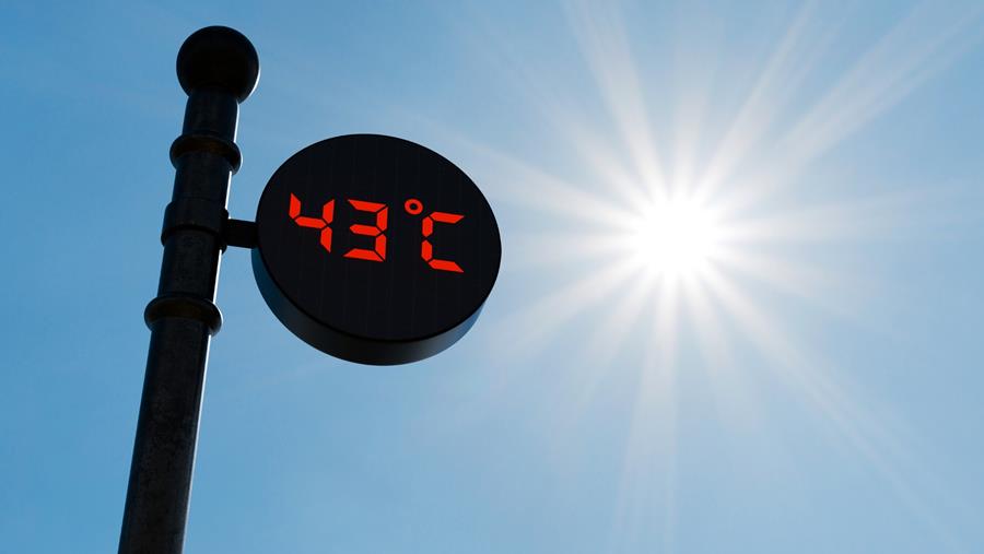 Canicule : près de 3.000 décès supplémentaires en trois vagues