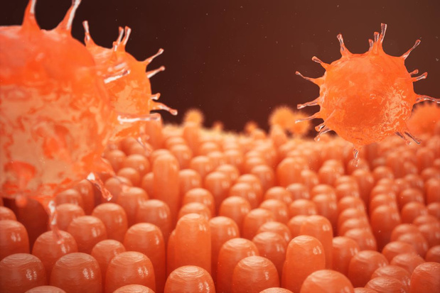 Plus de 30.000 patients atteints de maladies chroniques de l'intestin en Belgique