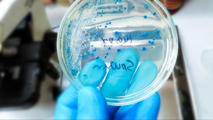 Proposition de résolution pour généraliser la vaccination contre le pneumocoque